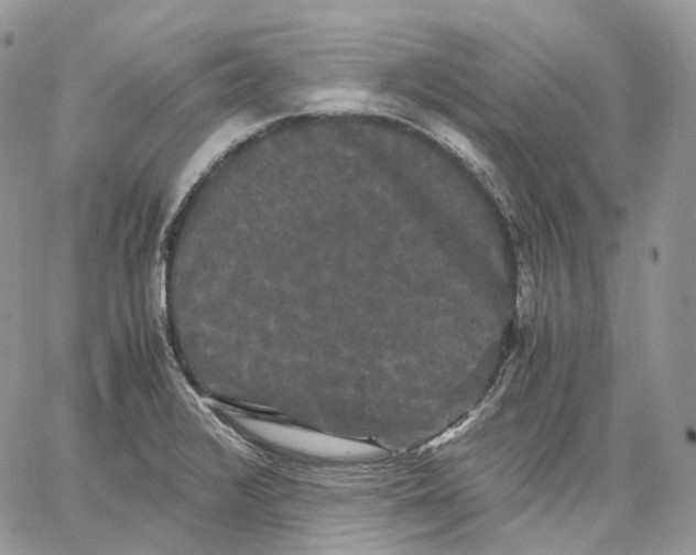 X0000062831376200602031526