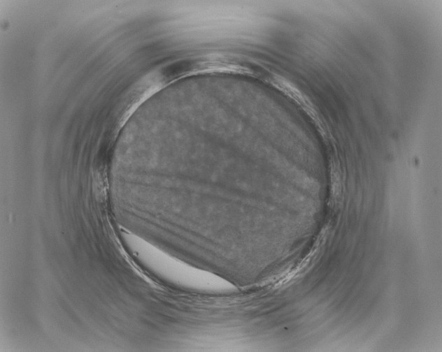 X0000062831377200602031526