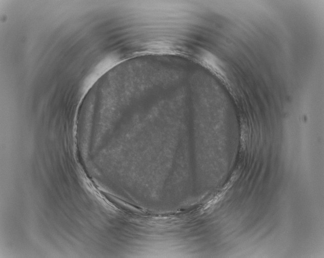 X0000062831378200602031526