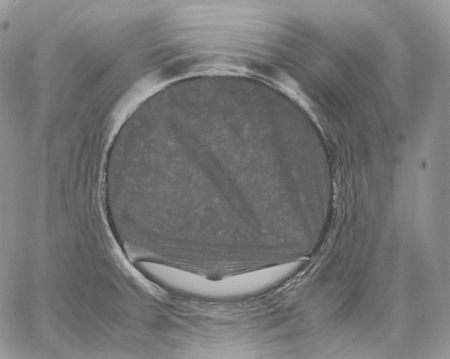 X0000062831379200602031526