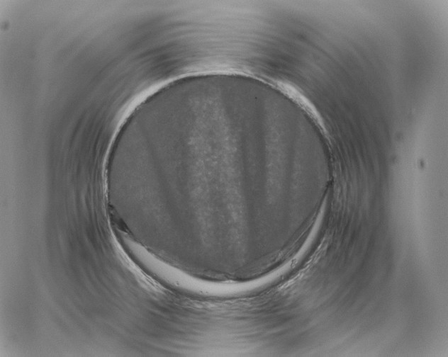 X0000062831380200602031526