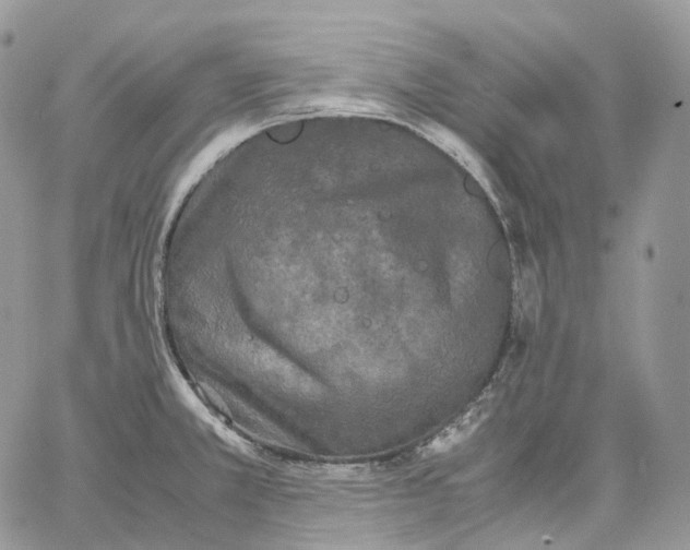 X0000062831381200602031526