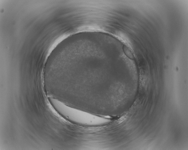 X0000062831382200602031526