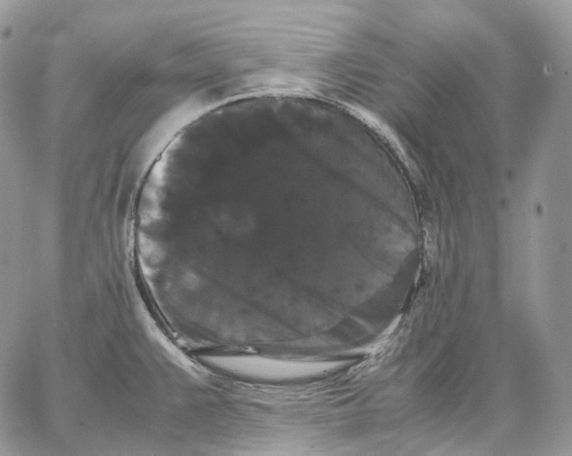 X0000062831383200602031526