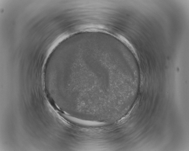 X0000062831384200602031526