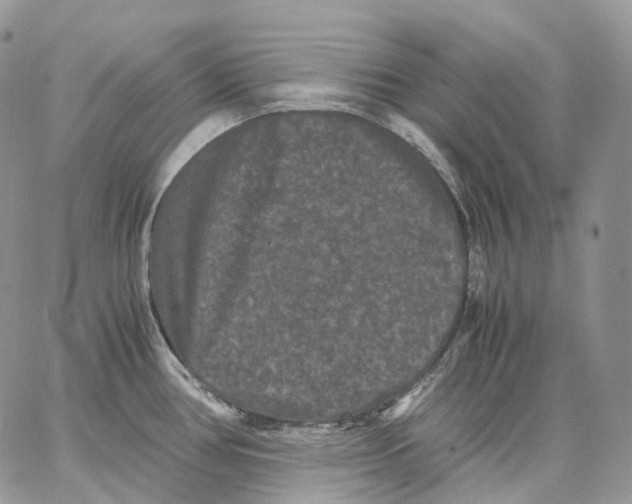 X0000062831386200602031526