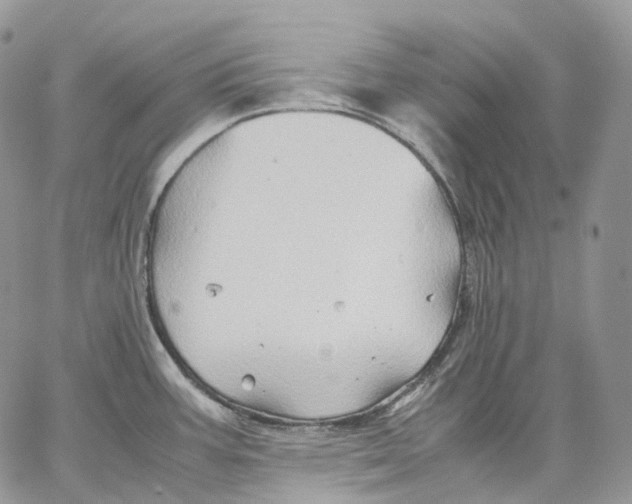 X0000062831387200602031526