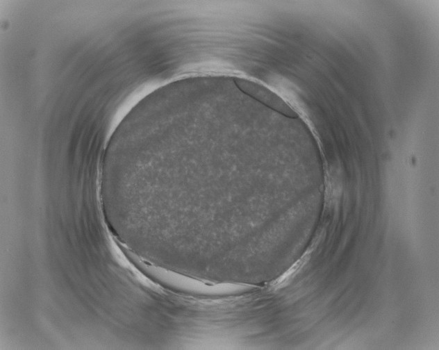 X0000062831390200602031526