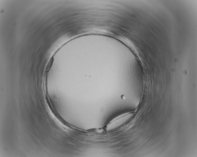 X0000062831391200602031526