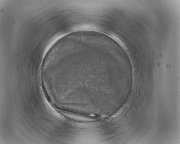 X0000062831392200602031526