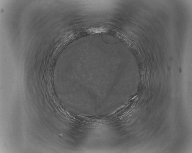 X0000062831393200602031525