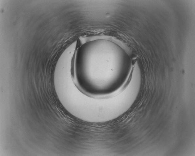 X0000062831394200602031525