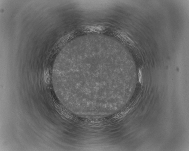 X0000062831395200602031525