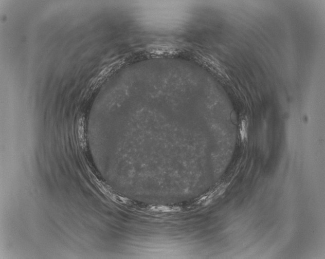 X0000062831396200602031525