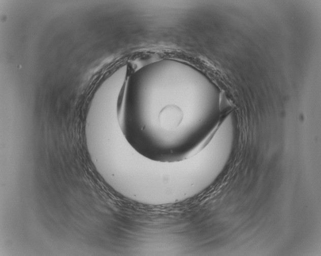 X0000062831398200602031525