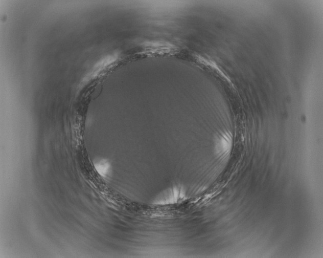 X0000062831399200602031525