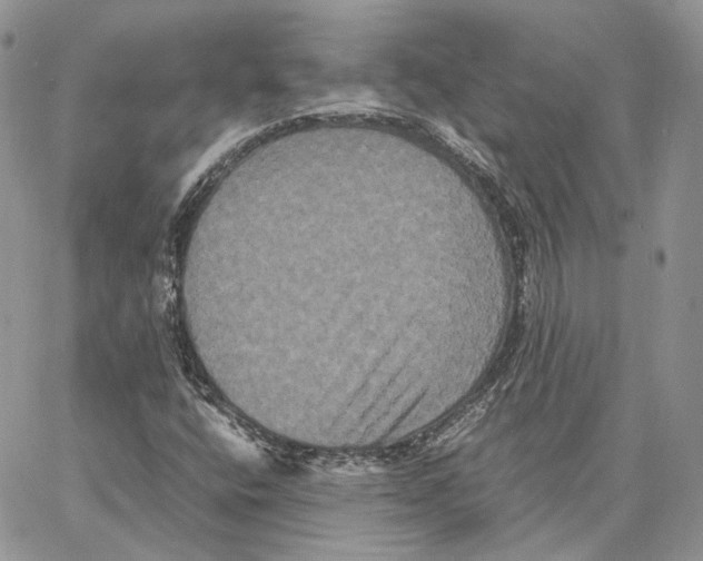 X0000062831400200602031525