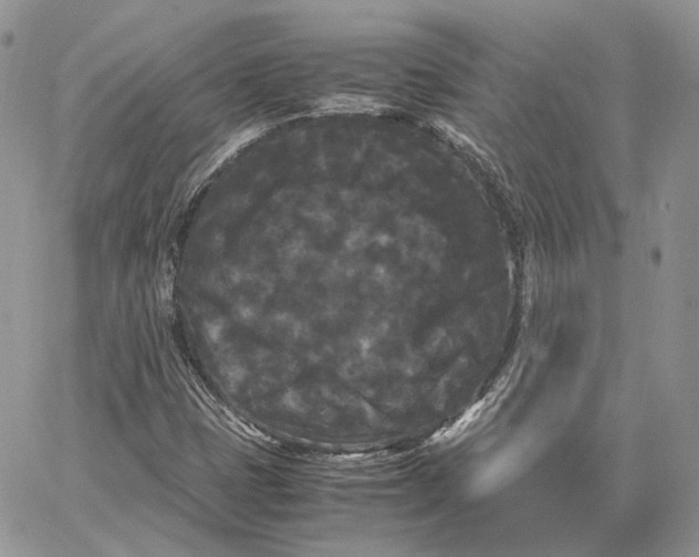 X0000062831401200602031525