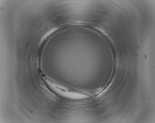 X0000062831402200602031525