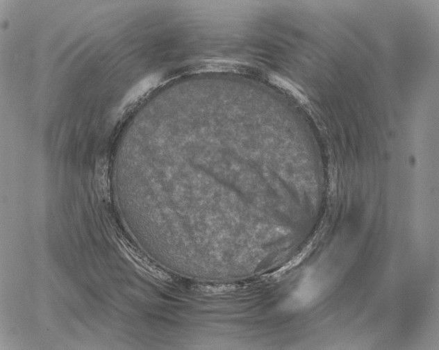 X0000062831403200602031525