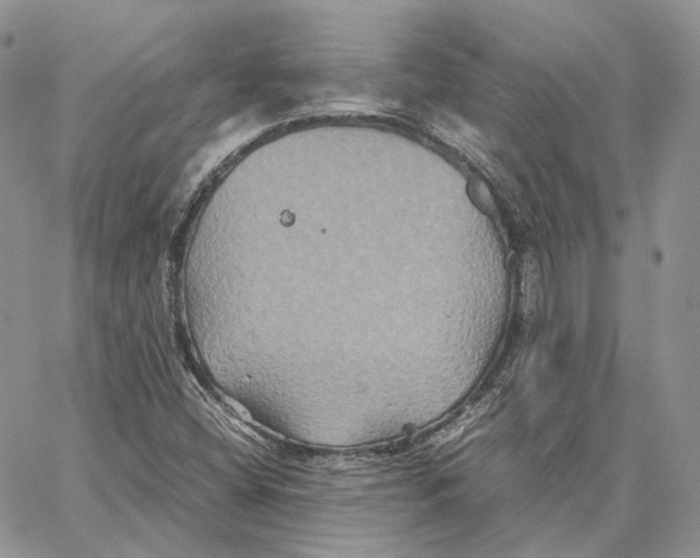 X0000062831404200602031525