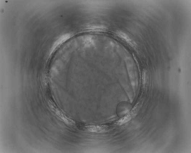 X0000062831405200602031525