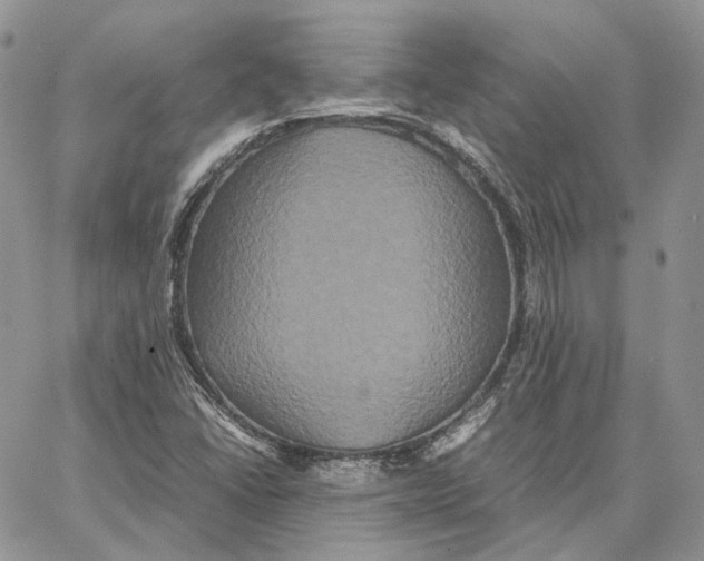 X0000062831406200602031525