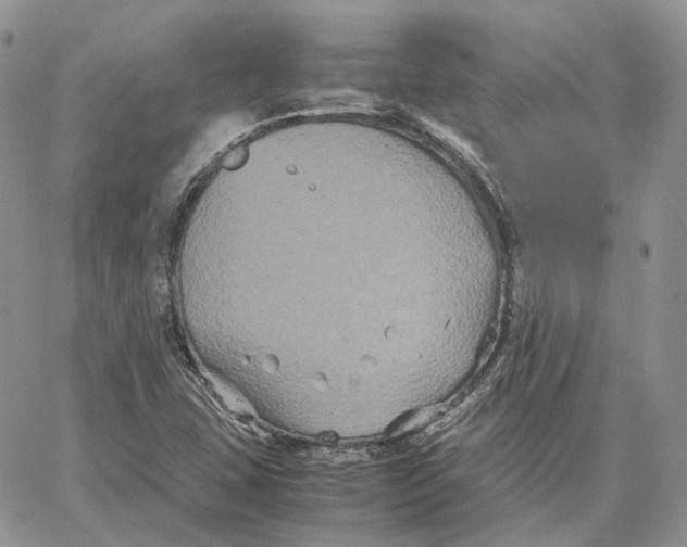 X0000062831407200602031525