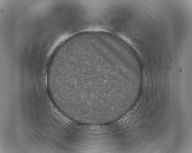 X0000062831408200602031525