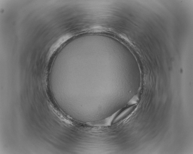 X0000062831410200602031525