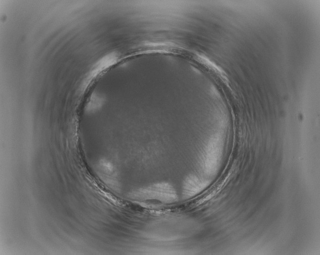 X0000062831411200602031526