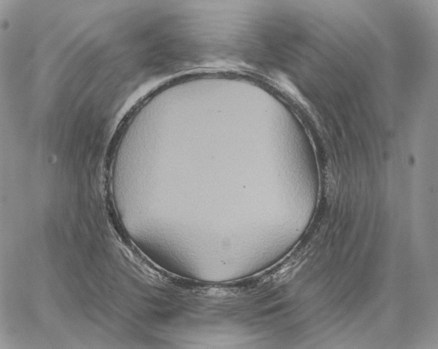 X0000062831412200602031526