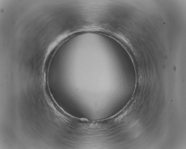 X0000062831414200602031526