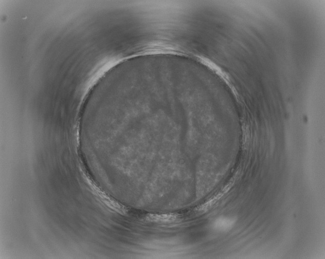 X0000062831415200602031526