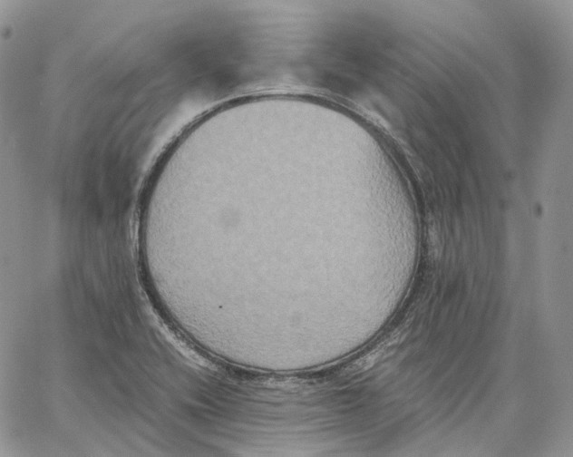 X0000062831416200602031526