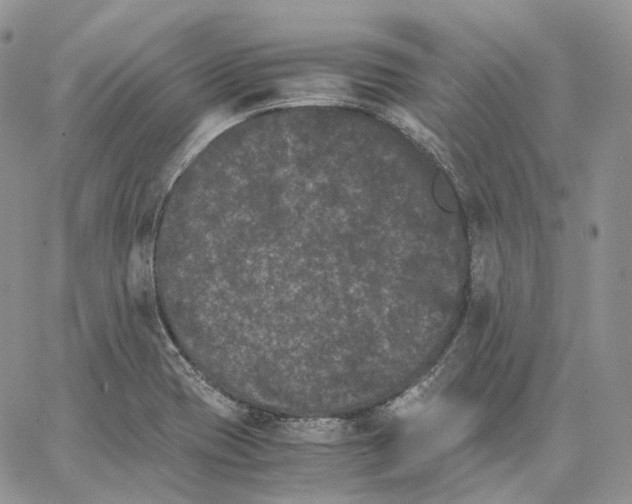 X0000062831417200602031526