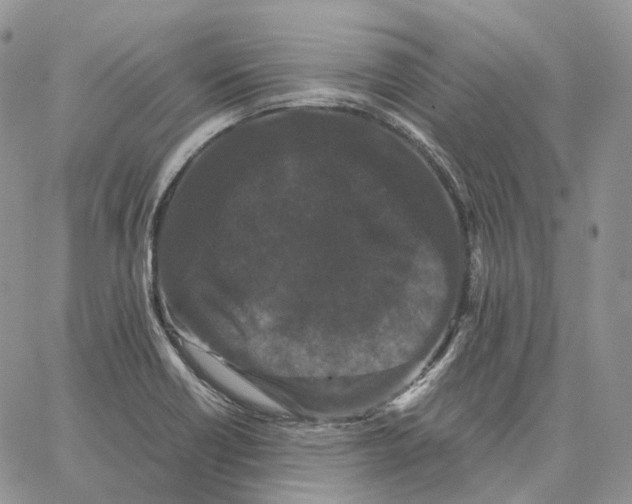 X0000062831418200602031526