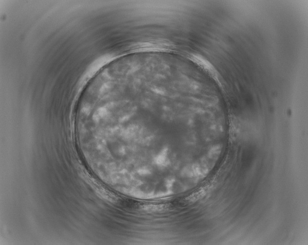 X0000062831419200602031526