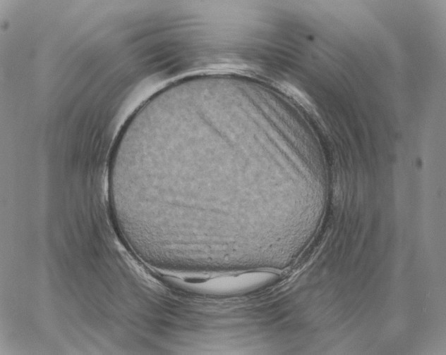 X0000062831420200602031526