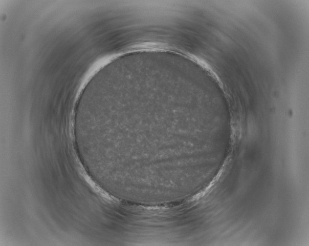 X0000062831421200602031526