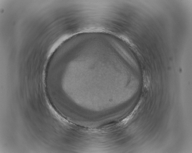 X0000062831422200602031526