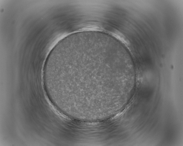 X0000062831423200602031526