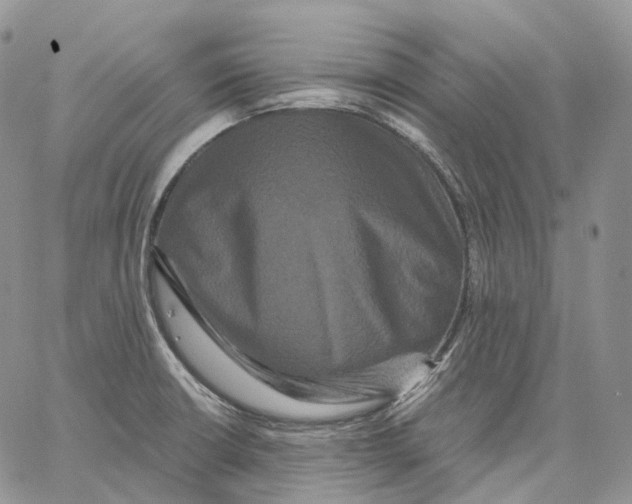 X0000062831426200602031526