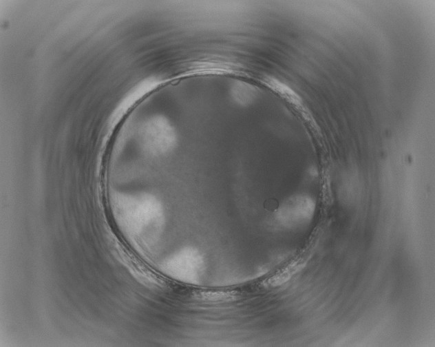 X0000062831427200602031526