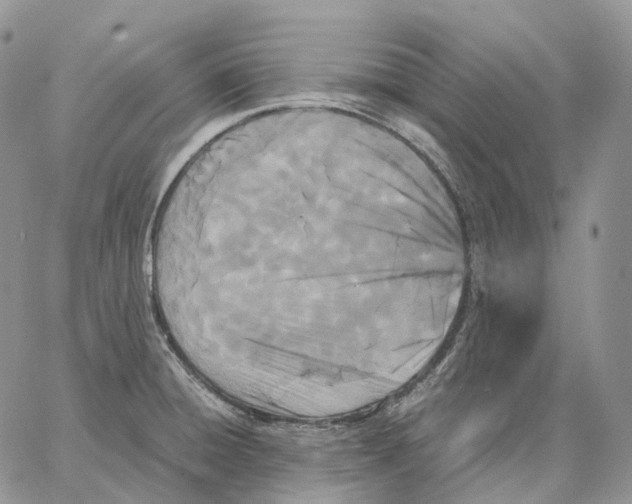 X0000062831428200602031526