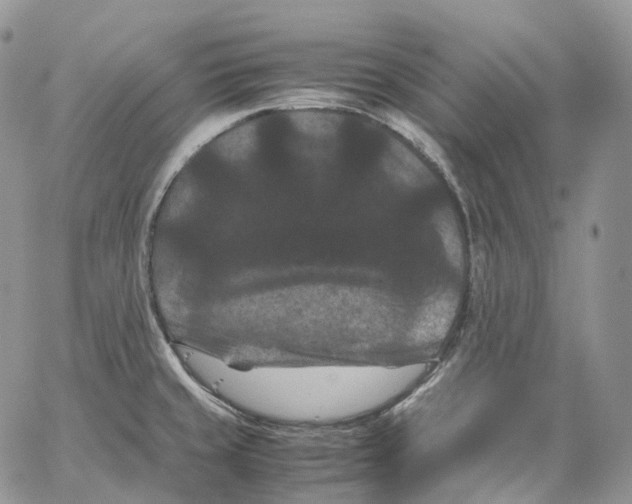 X0000062831429200602031526