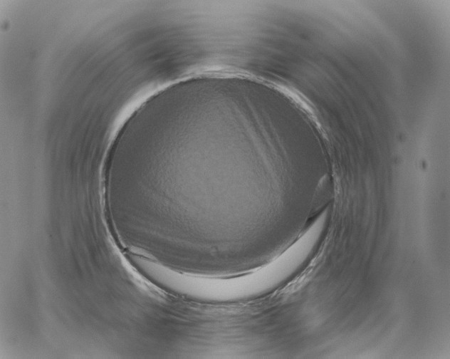 X0000062831430200602031526