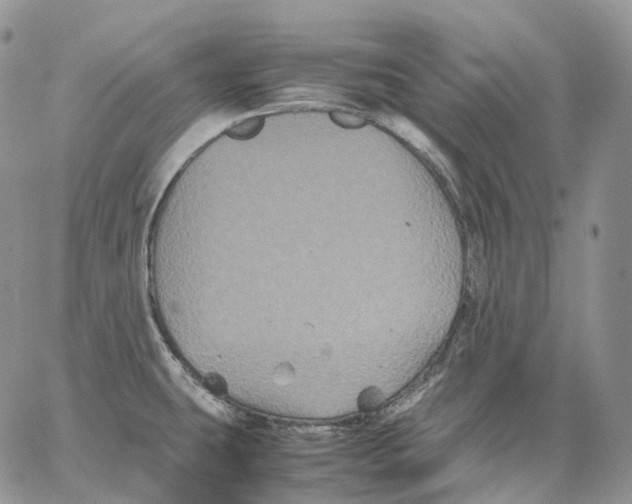 X0000062831431200602031526