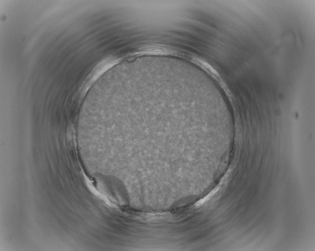 X0000062831433200602031526