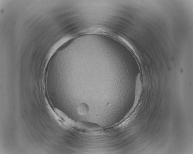 X0000062831434200602031526